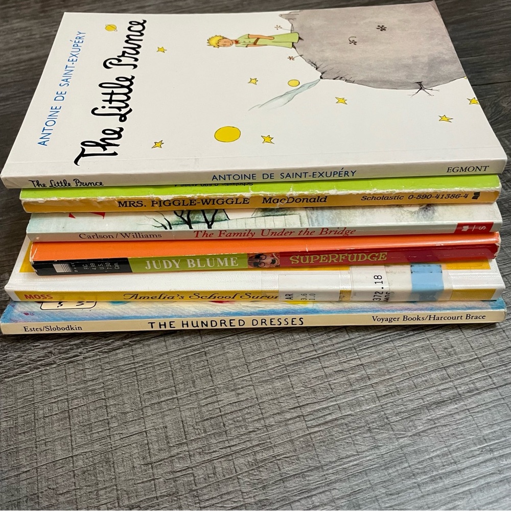 Children's Book Bundle   6 Classic Stories Superfudge, Amelia,100 Dresses +3 - Picture 8 of 11